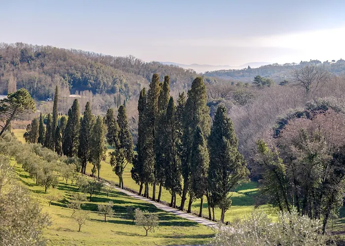 Rivo Della Corte