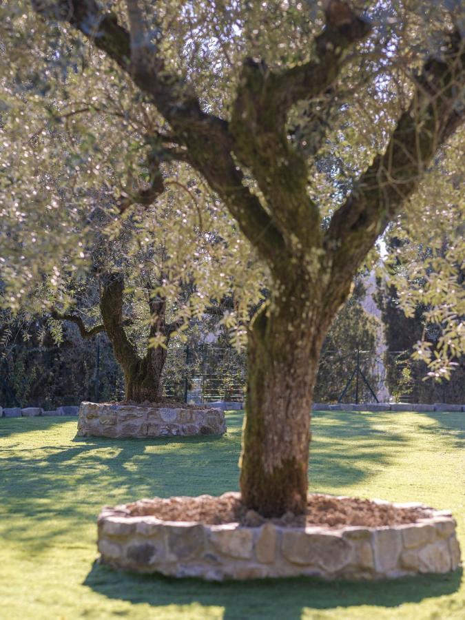 Bed & Breakfast Rivo Della Corte Pistoia
