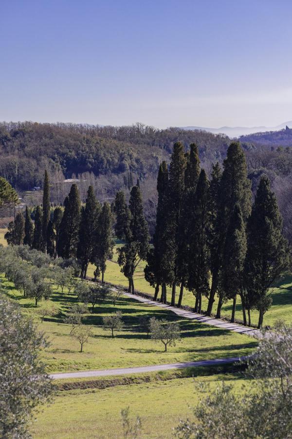 Rivo Della Corte Bed & Breakfast Pistoia